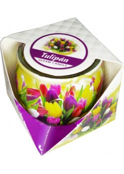 "Tulipán" IL5 Üvegpoharas illatmécses (1 db)