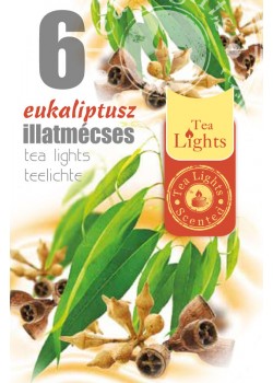 "Eukaliptusz" TL 6 illatmécses (3 csomag)