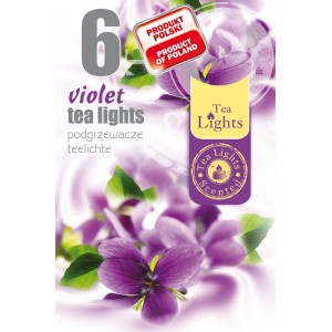 TL 6 Viola illatmécses (1 csomag)