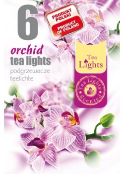 "Orchidea" TL 6 illatmécses (3 csomag)