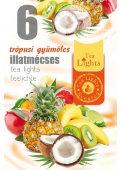 TL 6 Trópusi gyümölcs illatmécses (1 csomag)