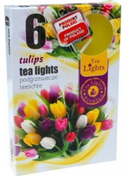 TL 6 Tulipán  illatmécses (1 csomag)