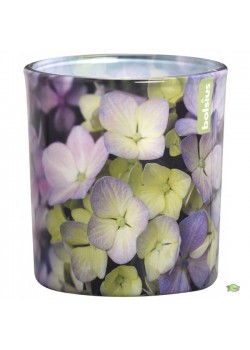 Hortenzia üvegpoharas illatmécses (Bolsius 80/72 - 1db)